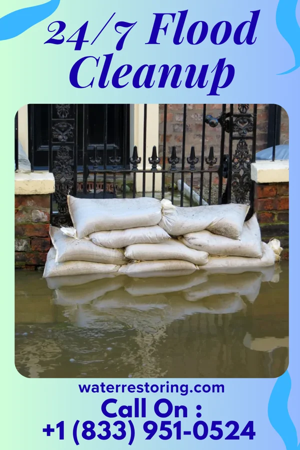 24/7 Flood Cleanup in Newsoms, VA