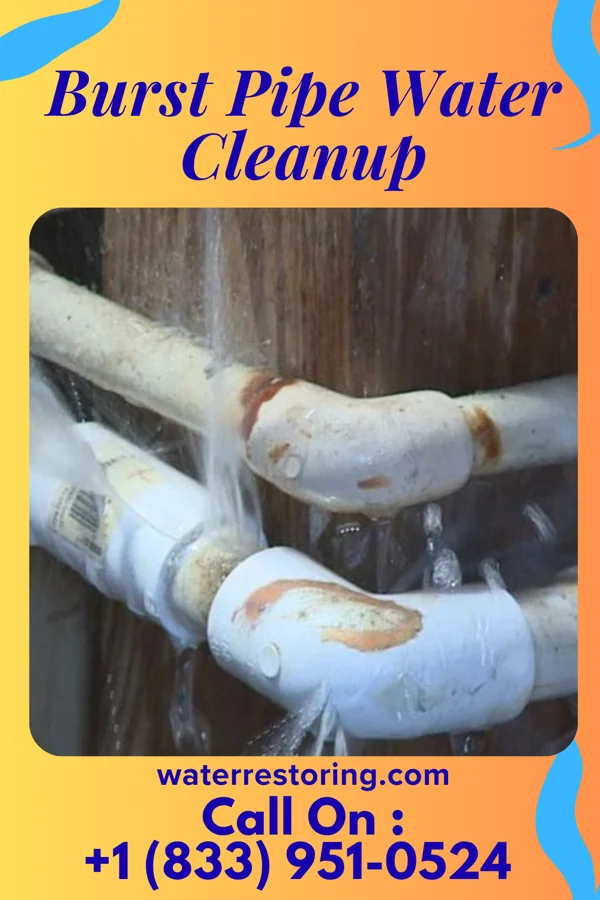 Burst Pipe Water Cleanup in Newsoms, VA