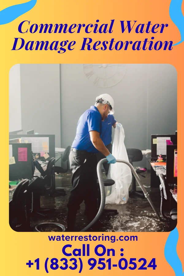 Commercial Water Damage Restoration in Newsoms, VA
