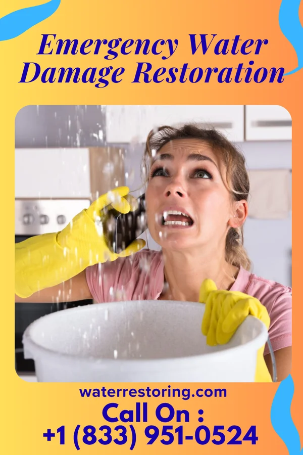 Emergency Water Damage Restoration in Newsoms, VA