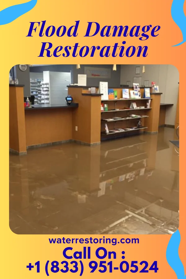 Flood Damage Restoration in Newsoms, VA