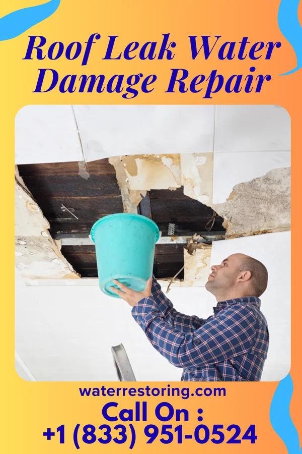 Roof Leak Water Damage Repair in Newsoms, VA