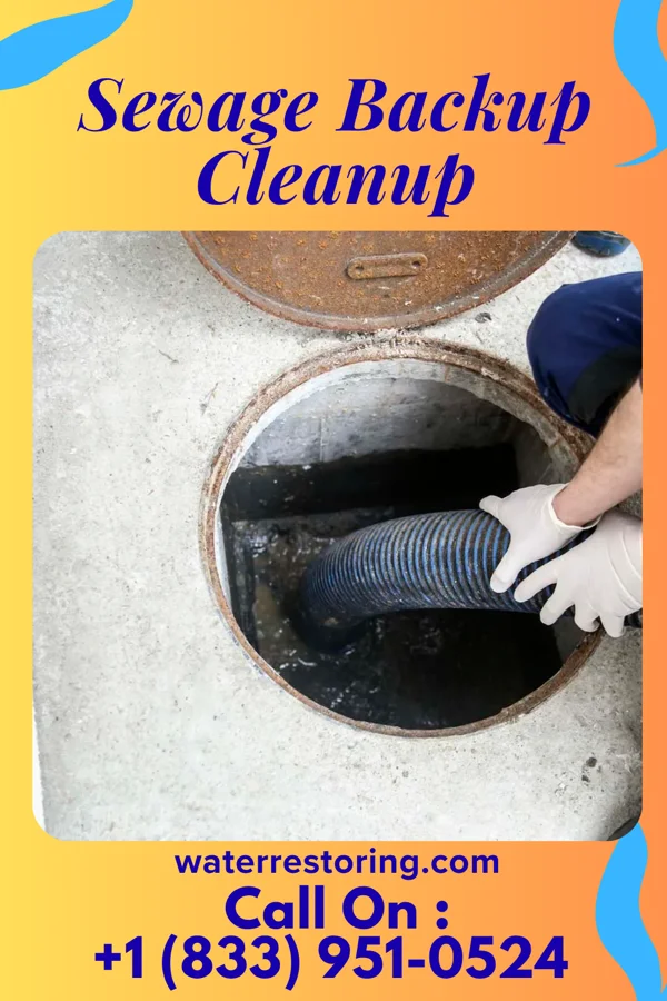 Sewage Backup Cleanup in Newsoms, VA