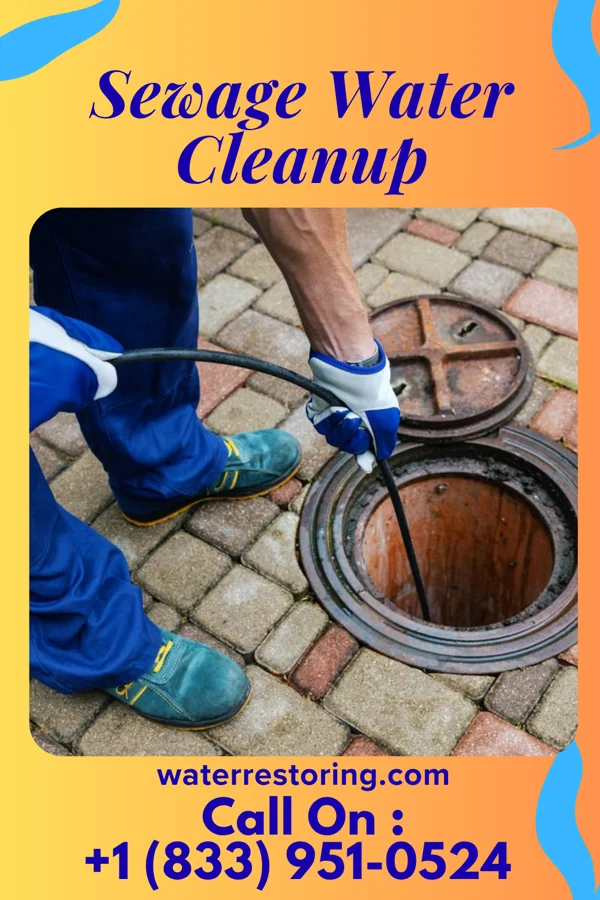 Sewage Water Cleanup in Newsoms, VA